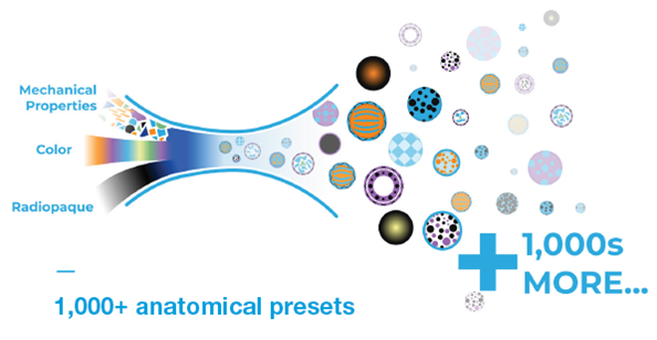 anatomical presets